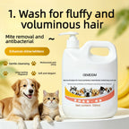 Banana Medium Hair Cat & Dog Shampoo OEMODM
