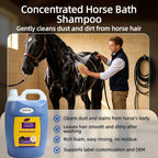 Concentrated Horse Shampoo OEM ODM