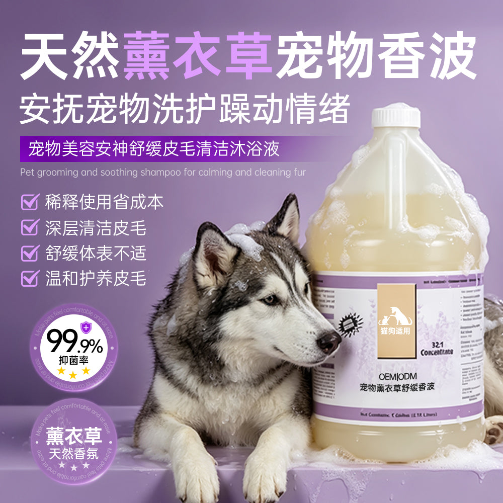 Tear‑Less Face & Body Pet Shampoo OEM ODM