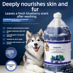 Real Blueberry All-Body Concentrated Dog & Cat Shampoo OEM ODM