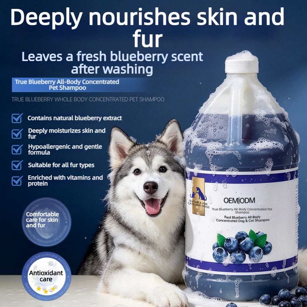 Real Blueberry All-Body Concentrated Dog & Cat Shampoo OEM ODM